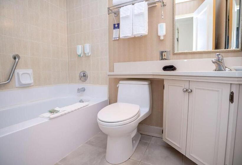 高级套房, Best Western Dorchester