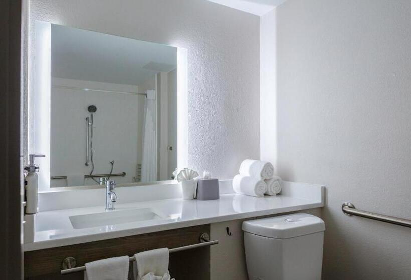 Номер Стандарт Кровать Кинг Адаптированный для Инвалидов, Holiday Inn Express Rocky Mount Sports Center By Ihg