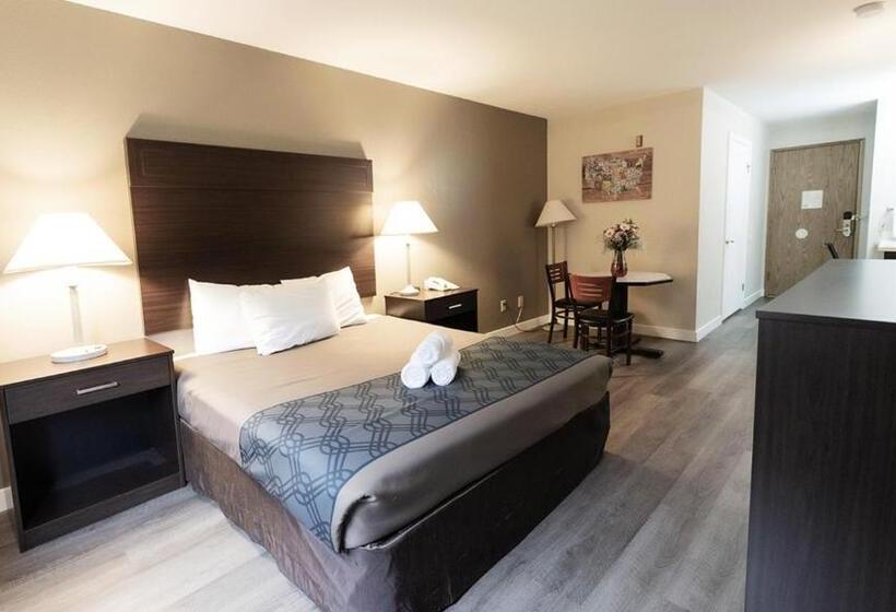스탠다드 룸, Ocean Star Inn