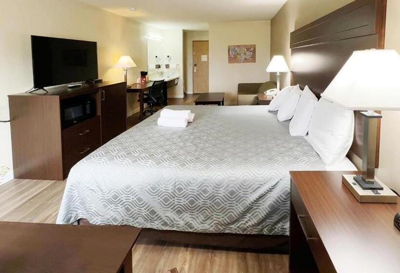 스탠다드 룸 킹사이즈 침대, Ocean Star Inn