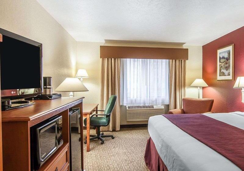 스탠다드 룸 킹사이즈 침대, Quality Inn Downtown Convention Center