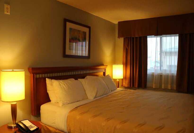 비즈니스룸, Riviera Inn And Suites 1000 Islands