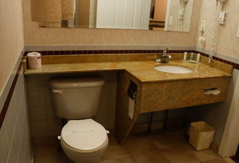 비즈니스룸, Riviera Inn And Suites 1000 Islands