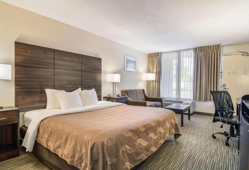 스탠다드 룸 킹사이즈 침대, Quality Inn Suwanee I85