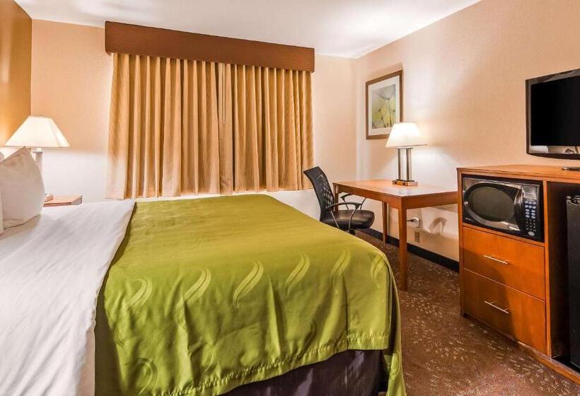 스탠다드 룸 킹사이즈 침대, Quality Inn