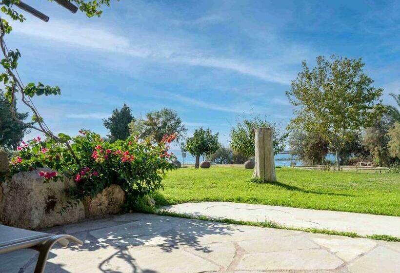סטודיו סטנדרטי נוף לגינה, Coral Beach Hotel & Resort Cyprus