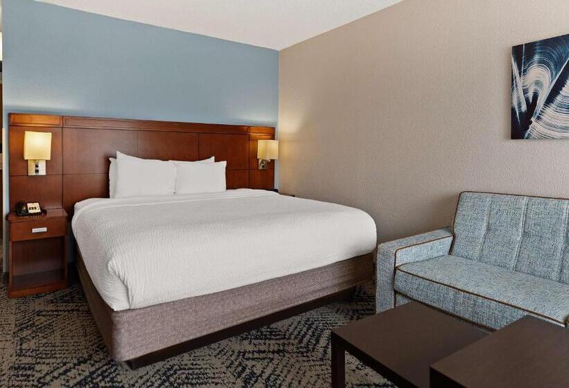 Номер Стандарт Кровать Кинг Адаптированный для Инвалидов, Best Western Spartanburg Northwest