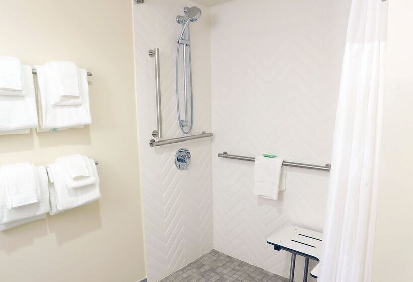 Standard Szoba 2 Franciaággyal, Holiday Inn Champaign, An Ihg