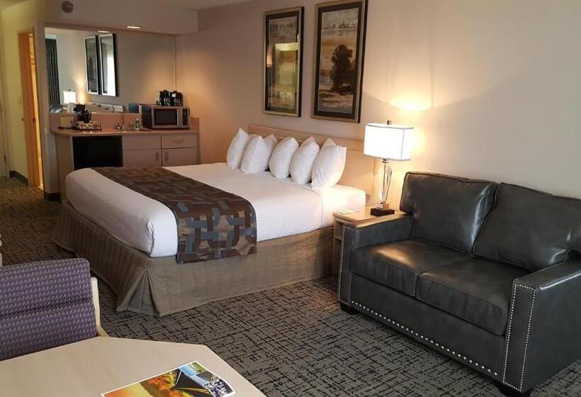 اتاق استاندارد, Shilo Inn Elko
