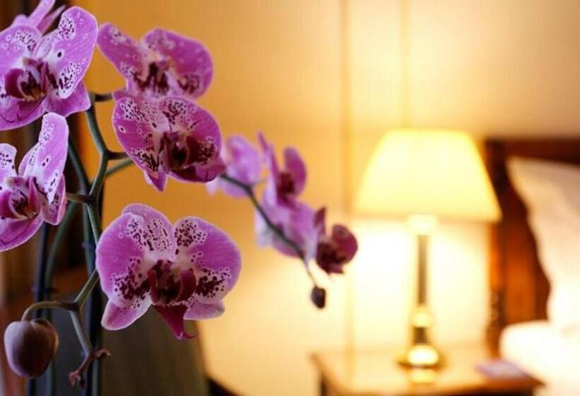 Suite, Le Plaza Brussels
