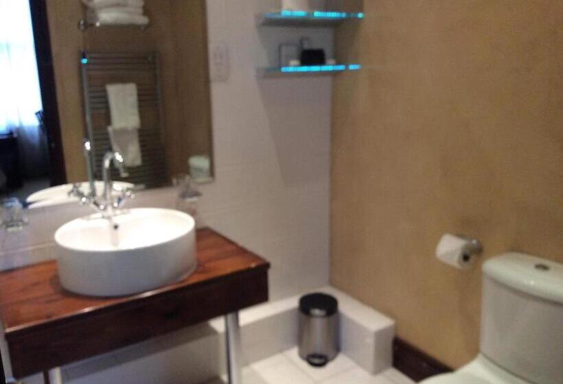 Люкс, Belmont Hotel Leicester