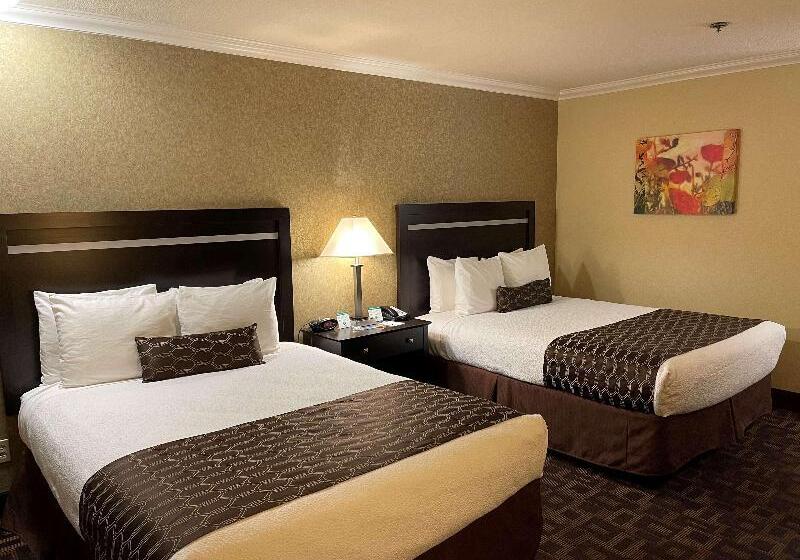 Апартаменты 1 Спальня, Seara Praia