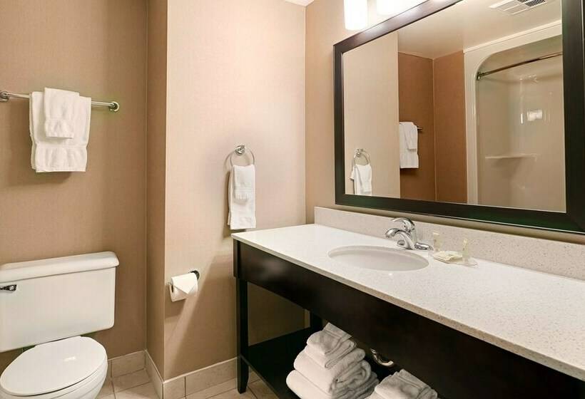 标准间, Best Western Swan Castle Inn