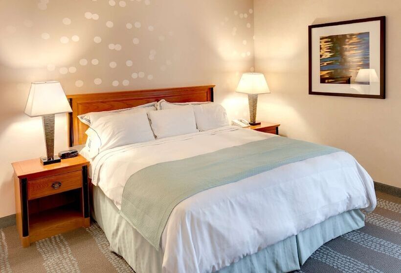 חדר סטנדרט מיטה זוגית, Radisson Hotel & Suites Fallsview