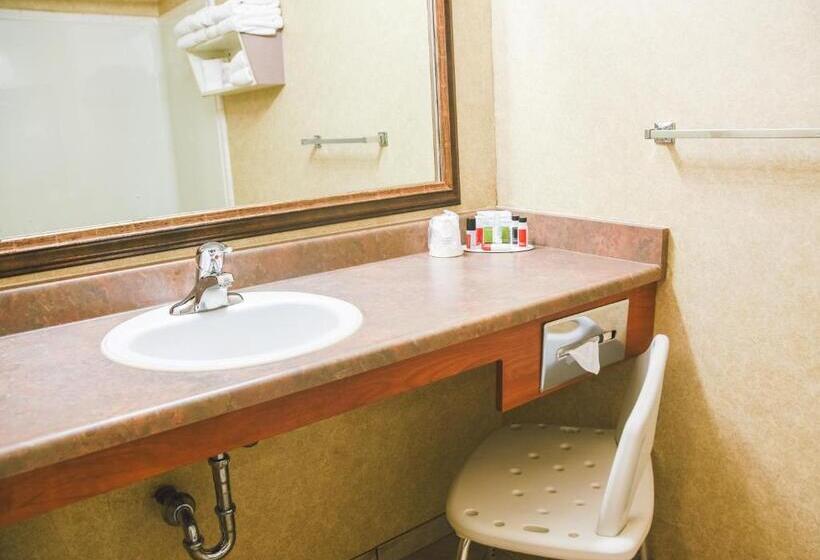 Номер Стандарт Адаптированный для Инвалидов, Stony Plain Inn & Suites