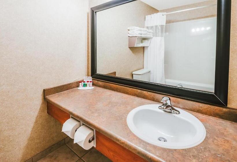 Номер Стандарт, Stony Plain Inn & Suites