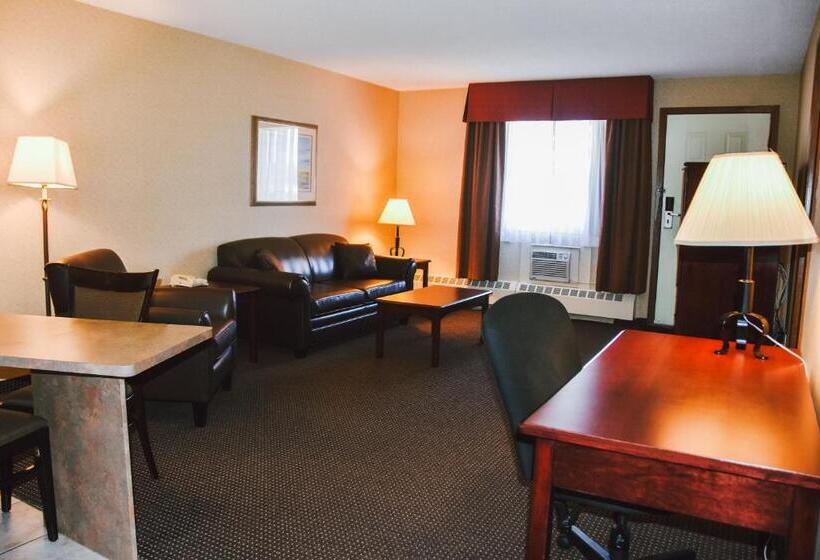 Студио Стандарт Кровать Кинг, Stony Plain Inn & Suites