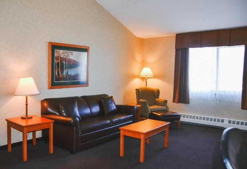 Студия Deluxe, Stony Plain Inn & Suites