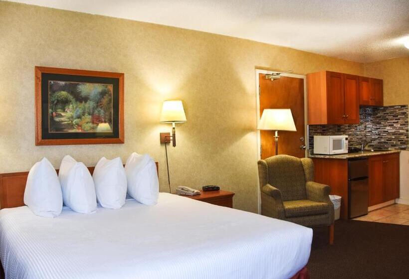 Студия Стандарт, Stony Plain Inn & Suites