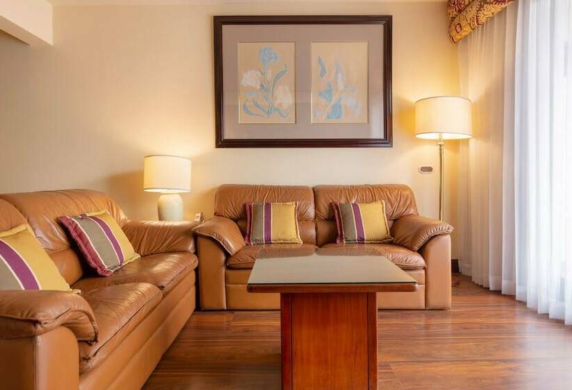 프리미엄 스위트, Barceló San José