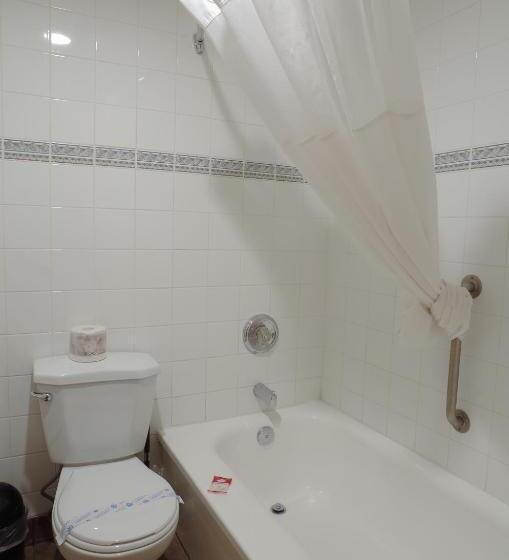带2个双人床的标准工作室, Canadas Best Value Inn And Suites Fernie