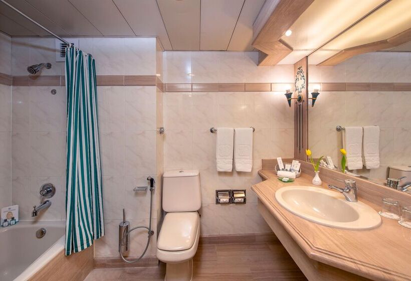 اتاق استاندارد با چشم‌انداز شهر, Sonesta St. George Hotel   Convention Center