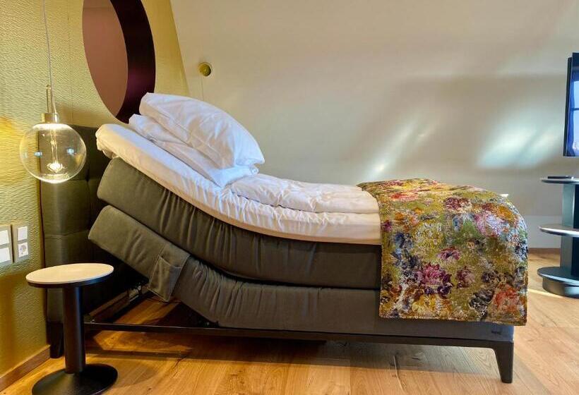 Люкс, Prinzhotel Rothenburg