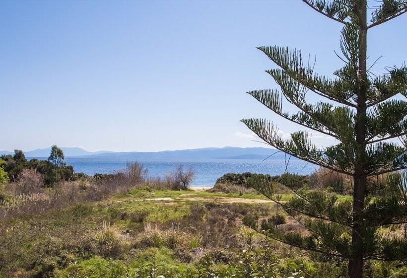 سوئیت پریمیوم با چشم‌انداز دریا, Arco Beach