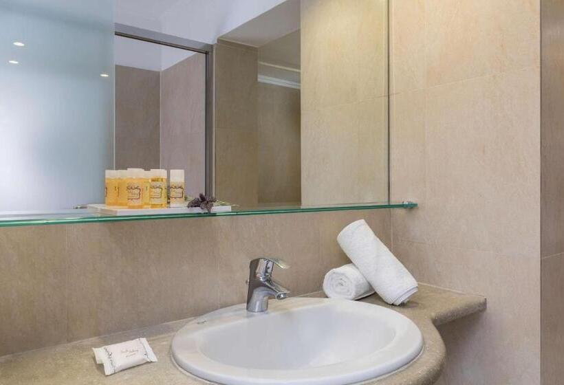 이코노미 룸, Best Western Plus Hotel Plaza