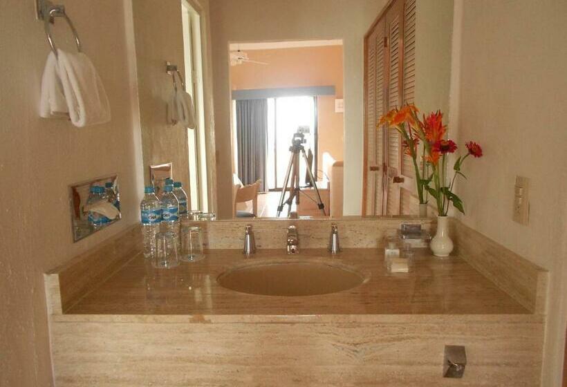 غرفة قياسية, Flamingo Vallarta Hotel & Marina