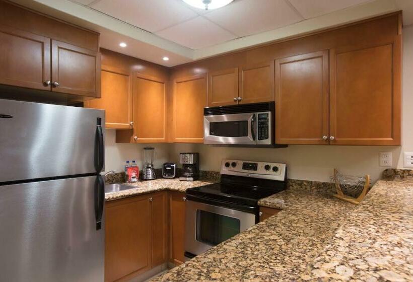 Studio Standard, Paradise Village