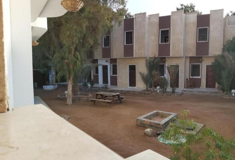 اتاق استاندارد یک تخته با سرویس بهداشتی مشترک, Oasis Fighting Kangaroo
