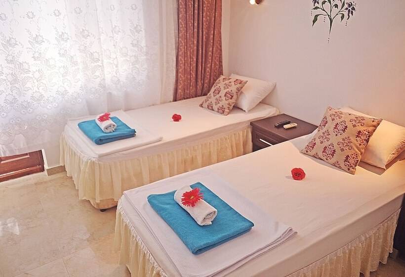 Номер Стандарт, Santosa Pension