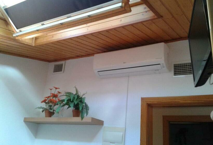 スタンダードシングルルーム, Hostal Arneva Orihuela