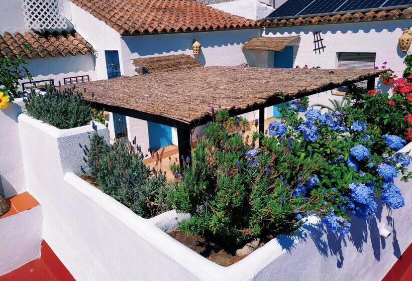 デラックススイート, Casa Campana