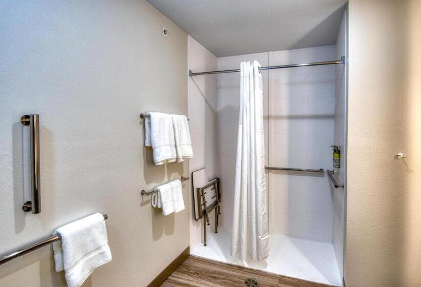 适合残疾人使用的标准间, Holiday Inn Express & Suites   Omaha Downtown   Airport, An Ihg