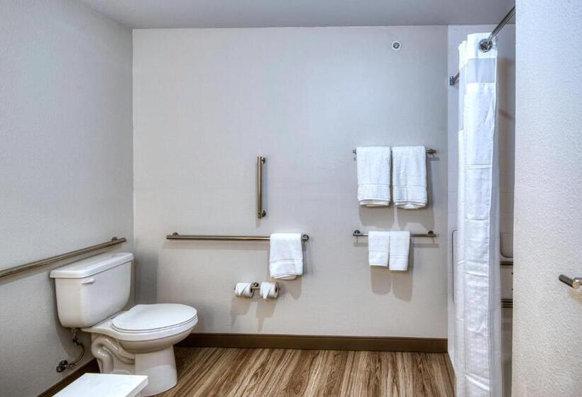 带大床的标准间, Holiday Inn Express & Suites   Omaha Downtown   Airport, An Ihg
