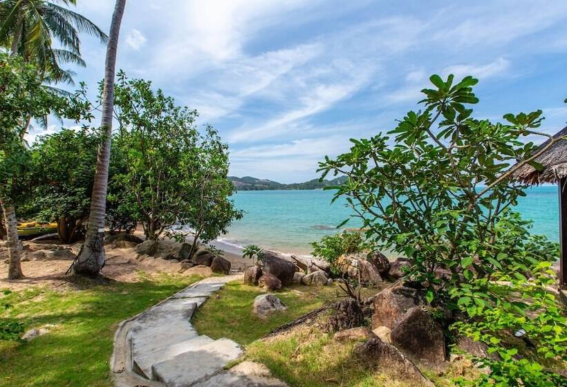 اتاق دوبلکس, Padel Phangan Suite