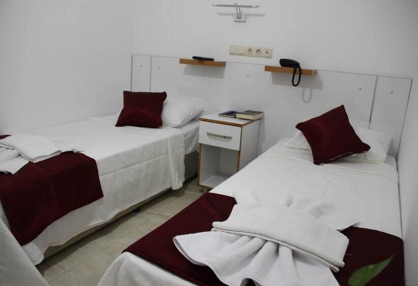 اتاق استاندارد, Aelbistan Otel