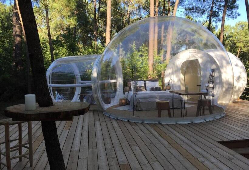 Номер Deluxe, Les Bulles De Bordeaux