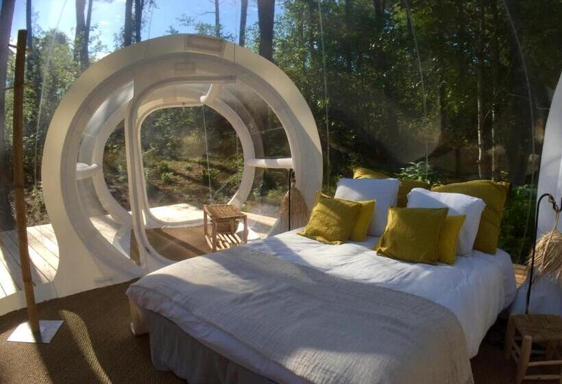 Номер Deluxe, Les Bulles De Bordeaux