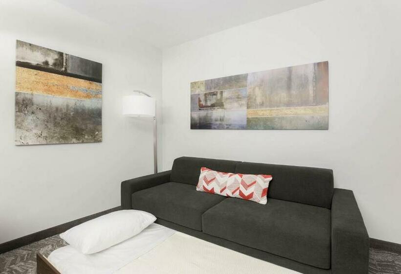Люкс, Springhill Suites By Marriott Auburn
