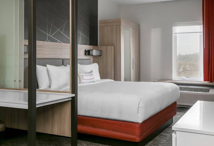 Люкс, Springhill Suites By Marriott Auburn