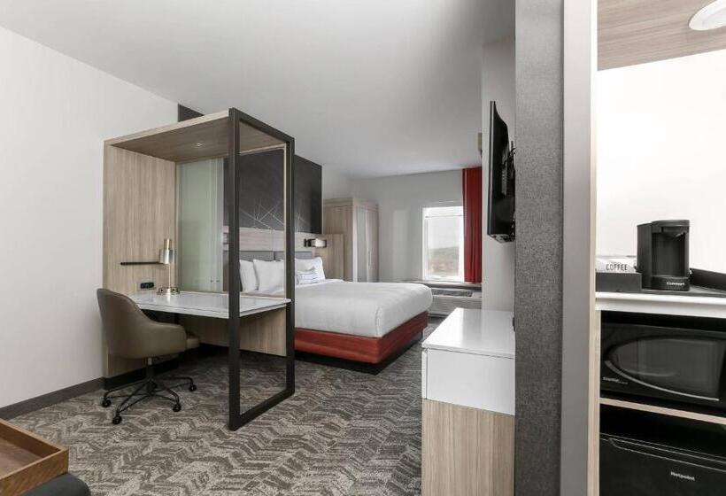 Люкс Кровать Кинг, Springhill Suites By Marriott Auburn