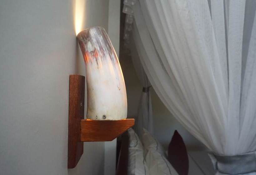 اتاق استاندارد, African Roots Gulu