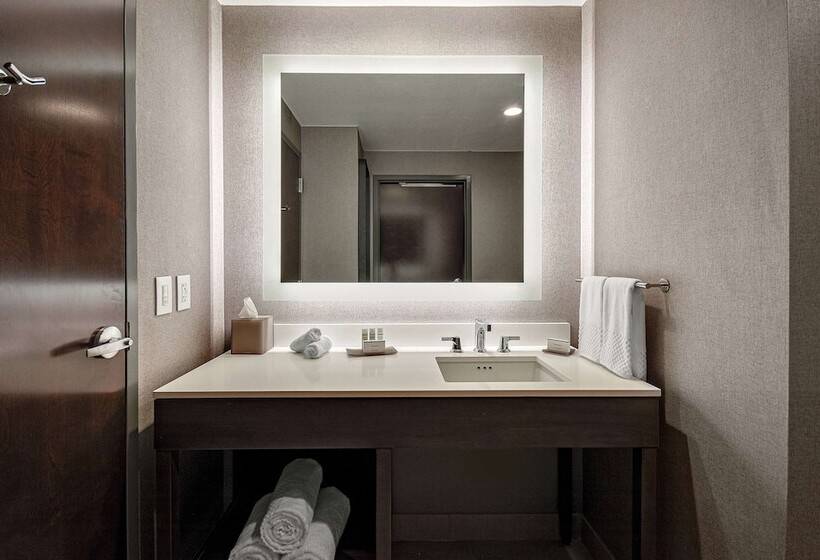 Люкс Премиум, Embassy Suites By Hilton Jonesboro Red Wolf Convention Center