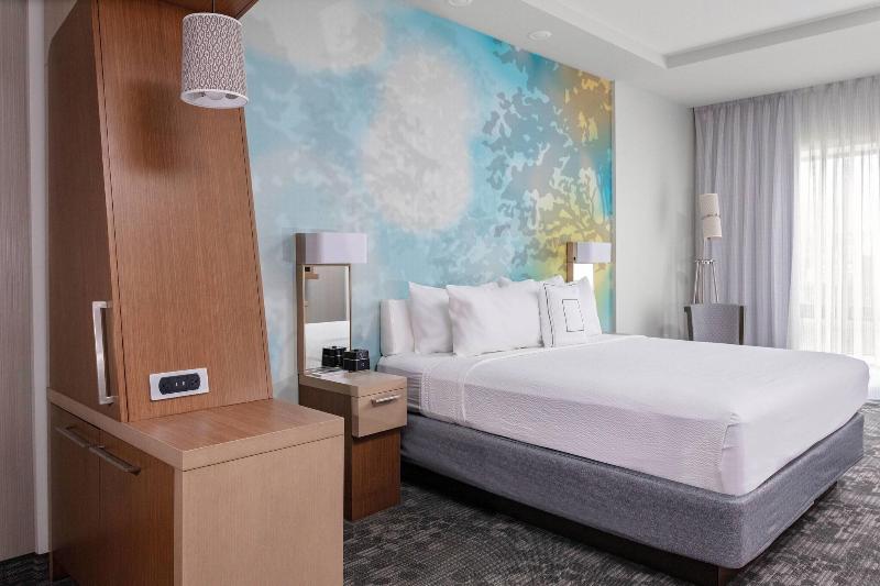 带大床的套房, Courtyard By Marriott East Lansing Okemos