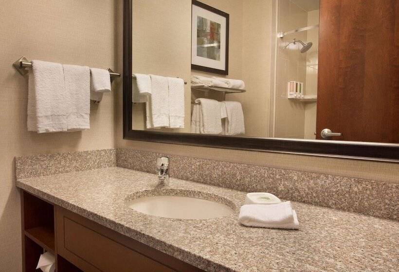 디럭스 룸, Drury Inn And Suites Denver Central Park