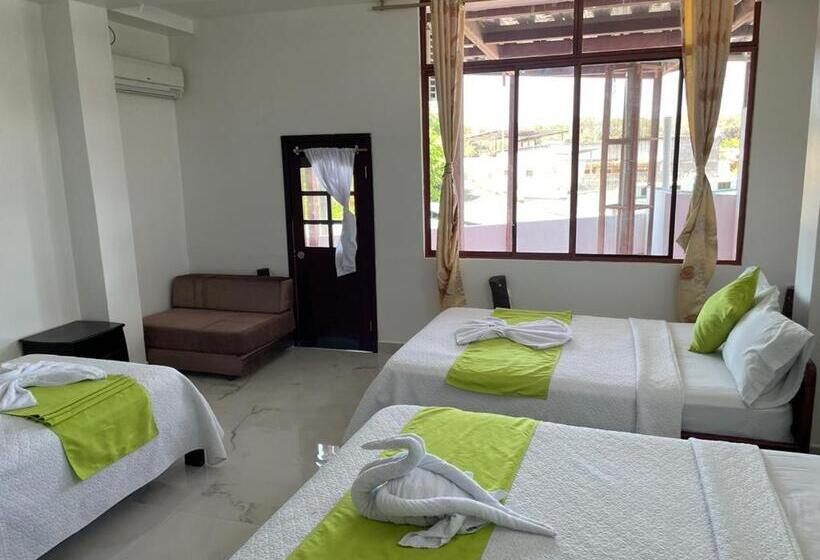 اتاق استاندارد سه نفره, Hostal Carliza