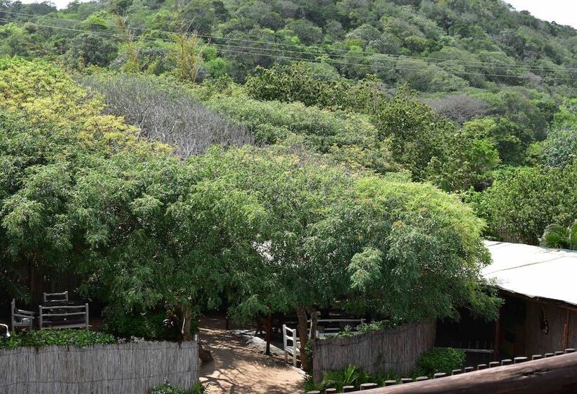 디럭스 방갈로, Gamboozini Lodge
